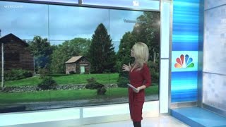 Norway Spruce Picked As 2018 Rockefeller Christmas Tree