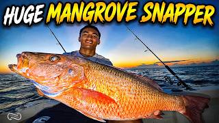 LIMITING OUT ON GIGANTIC MANGROVE SNAPPER!