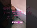 夏休み平日のラブホは学生が多い！？ #夫婦 #お風呂 #不惑のママ