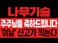 [나무기술 주가전망] 긴급!! 지금 이 자리 놓치면 끝입니다 | 다시 기회 없습니다