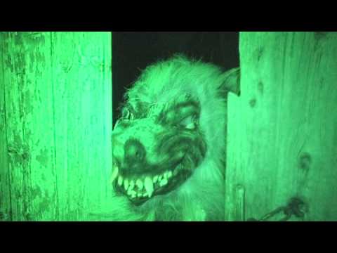 paranormal loup garou