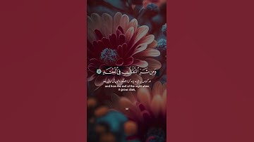 قل اعوذ برب الفلق|قران كريم|مشاري بن راشد العفاسي|سورة الفلق