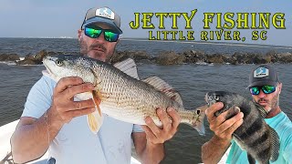 JETTY FISHING: Little River, SC Redfish, Black Drum, Ribbonfish and more...Part 1
