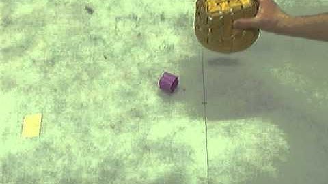 Trial 91 : Human Drops Block on Flipped Container