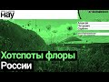 «Хотспоты флоры России». Спикер: Алексей Петрович Серёгин