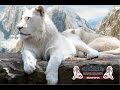 Крым - парк львов "Тайган"