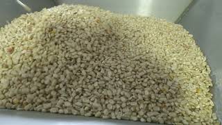 Stone Ground & Southern Made — Inside Georgia's Artisan Milling Company