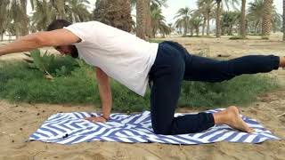 Best Exercise for Low Back Pain - Quadruped Stage 4