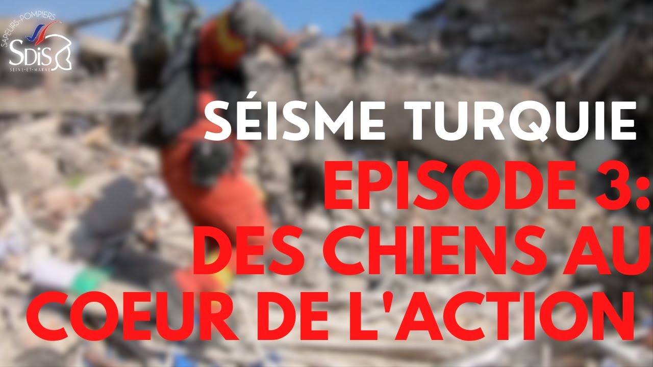 [ SÉISME EN TURQUIE - EPISODE 3 : DES CHIENS AU COEUR DE L'ACTION 🐕‍🦺 🚒 ]