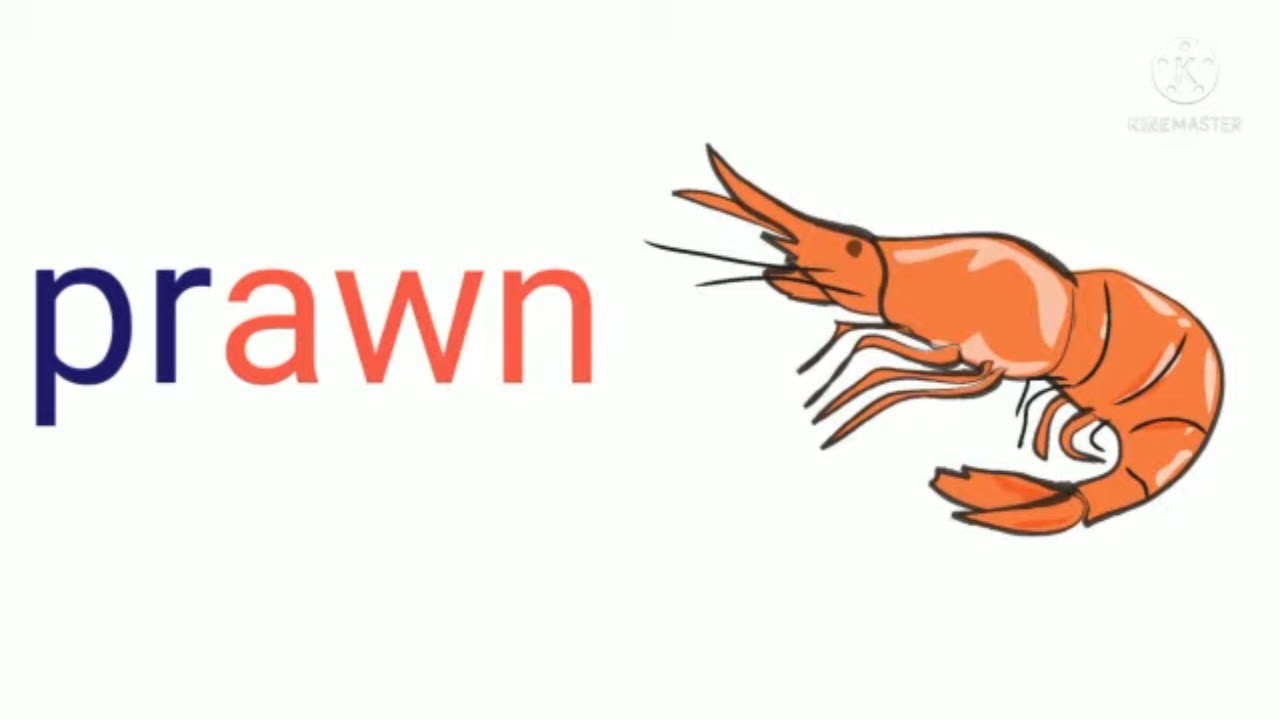 Initial blends pr words / Phonics for Kids / Vowel for kids / How to ...