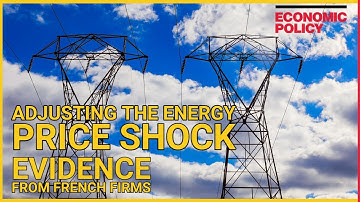 Adjusting the energy price shock. Evidence from French firms