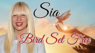 SIA - BIRD SET FREE (LYRICS)