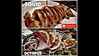 Kool Zone Vlogs: Part 1  I TRIED OCTOPUS AND SQUID! Wild Kanji #koolzone #koolkidz