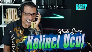 Download Lagu KELINCI UCUL VERSI DANGDUT KOPLO JARANAN || FARIS KENDANG FT PAKDHE GEPENG MP3 Download Lagu KELINCI UCUL VERSI DANGDUT KOPLO JARANAN || FARIS KENDANG FT PAKDHE GEPENG MP3