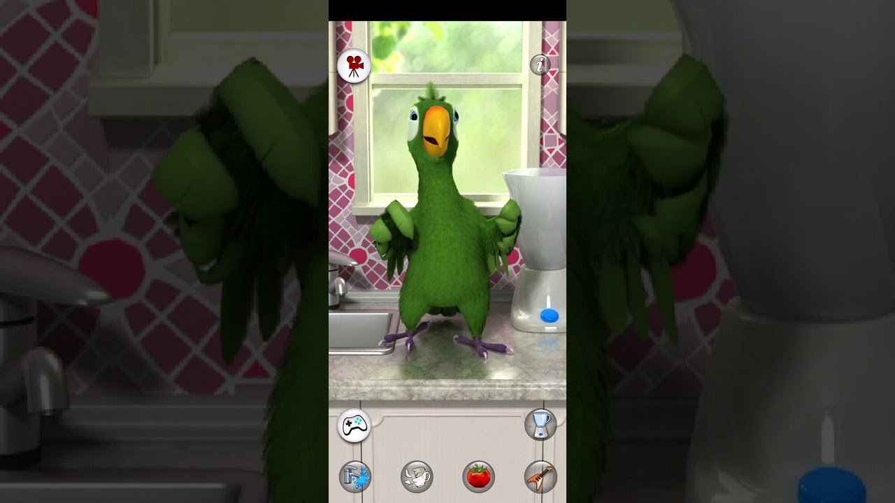 Talking Pierre The Parrot Game [Funny Talking Pierre The Parrot]