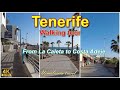 Tenerife walking tour from La Caleta to Costa Adeje 4K