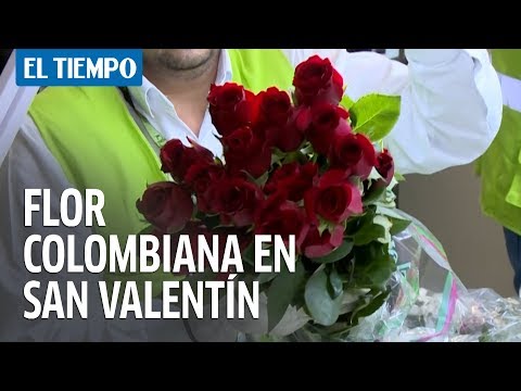 Colombia exporta flores para San Valentín