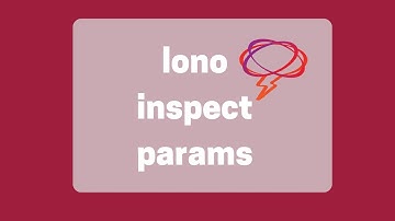 lono inspect params Introduction