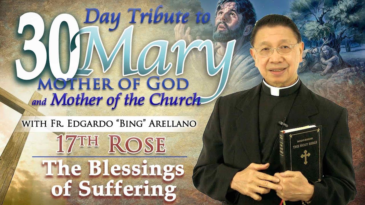 30 DAY TRIBUTE TO MARY  17TH ROSE:   The Blessings of Suffering