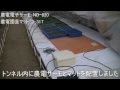 農電電子サーモと農電園芸マットを使った育苗の様子
