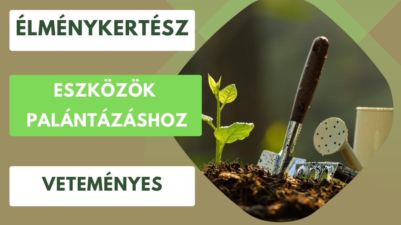 A jó palántázás elengedhetetlen eszközei🌱