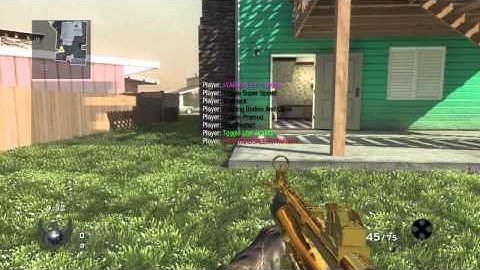 Black Ops  Mod Menu No Jailbreak