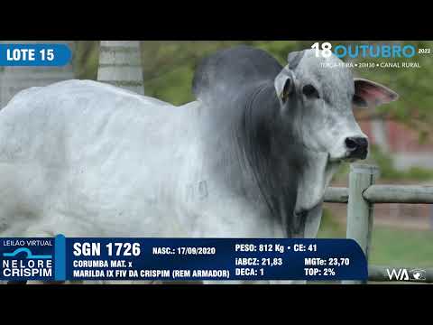 LOTE 15 SGN 1726