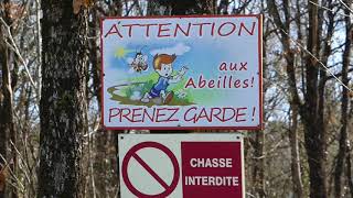 Leave No Trace - Ne Laisser Aucune Trace Fr Sous-Titres