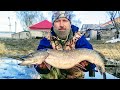 Рыбалка на щуку ЁКЛМН, мамки проснулись ! Рыбалка на паук-хапугу.Щука в апреле . Рыбалка 2021