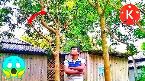 Zach King magic tutorial on kinemaster pro In Hindi 2020 | Amazing KineMaster video editing