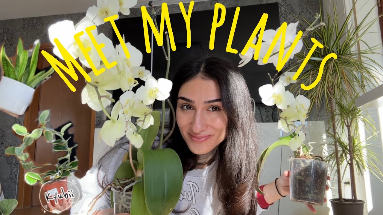 Pflanzen-Reset, Zeit für frische Erde 🌝| Pflanzen Vlog🪴