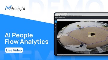 Milesight Demo: AI People Flow Analytics