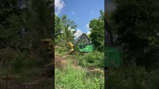 Glasscock Feller Buncher