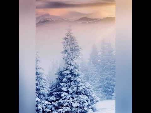 Волшебная зима. Сказка о муми-тролях. Зимняя сказка