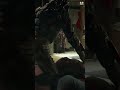 Assassin  predator best scene  the predator 2018 movie