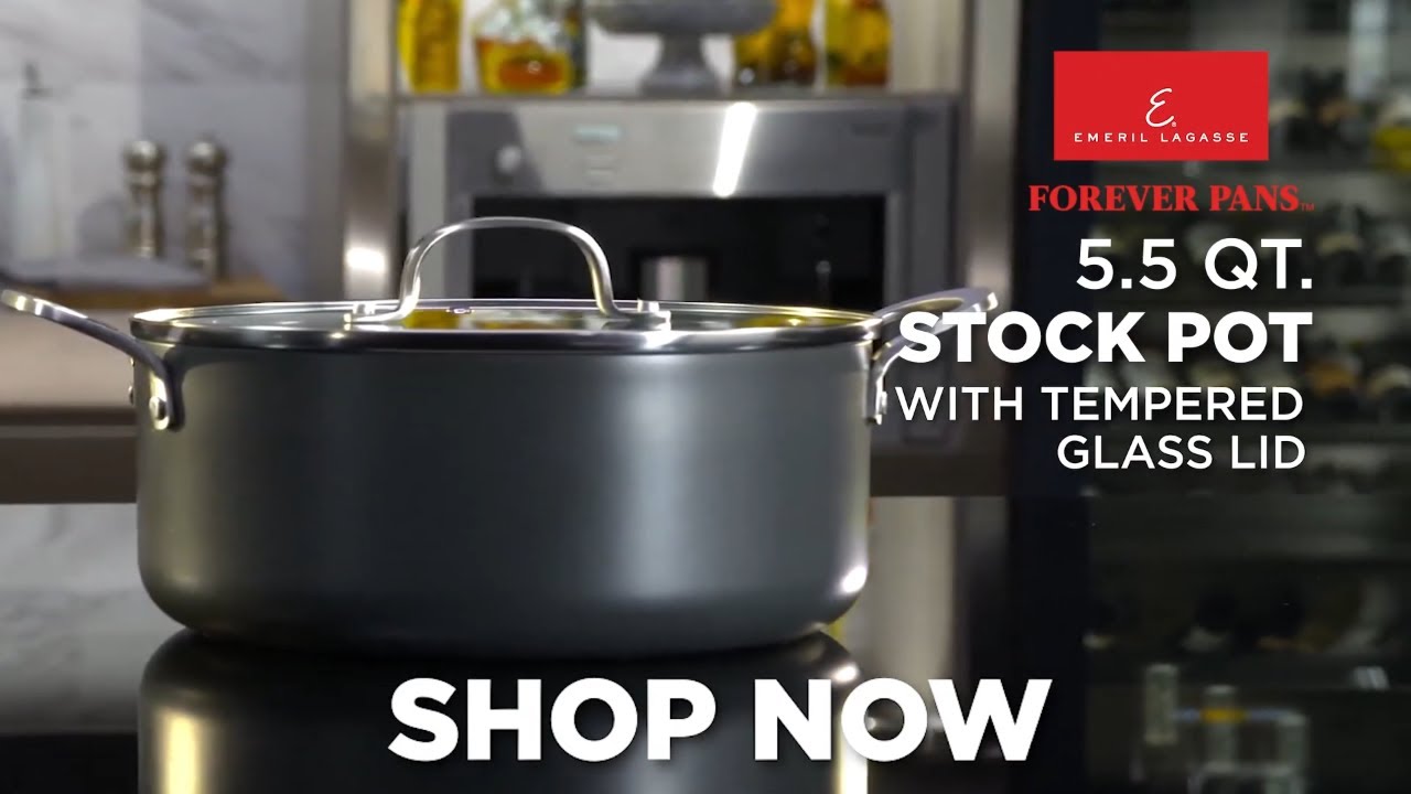 Emeril Stainless Steel 2 Qt. Saucepan With Lid