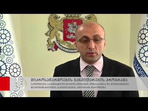ეკონომიკის სამინისტრომ მიკრომეწარმეობის განვითარების პროგრამა წარადგინა