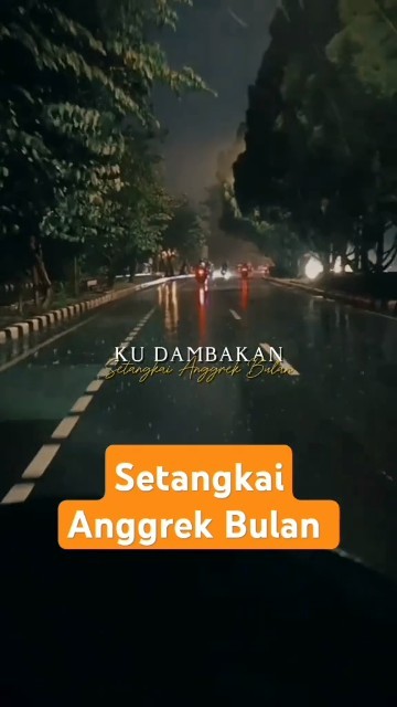 Setangkai Anggrek Bulan.NovyRosanti
