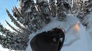 Tree Riding in Sicamous    SD 480p