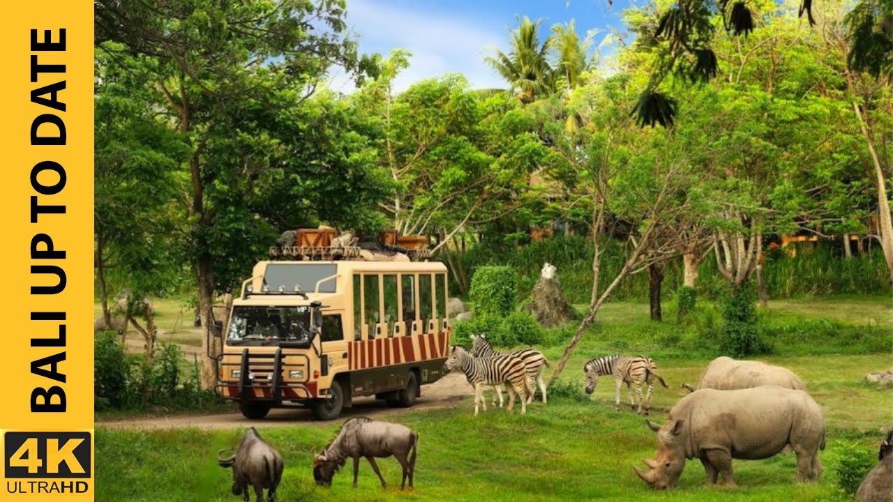 Safari Tours in Bali Safari & Marine Park Indonesia 2021