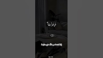 إذا كنت تحب الله ضع متابعة 😢❤️ #القرآن_الكريم #اكسبلور #لايك #آيات_القرآن #دويتو #تيك_توك #تلاوة