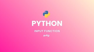 Python Input Function