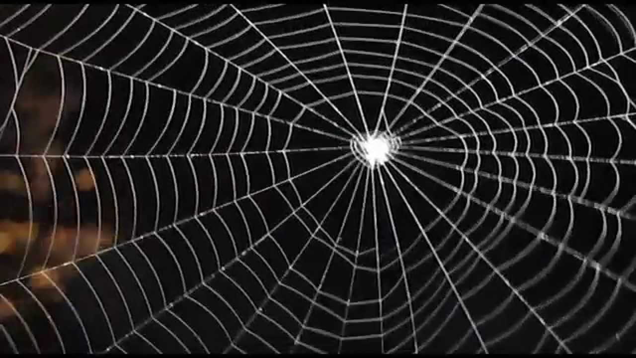 Lullaby of the Insomniac - Hsia-Jung Chang 鋼琴家張夏榕作曲 - 失眠者之搖籃曲 (listen with Hi-fi stereo)