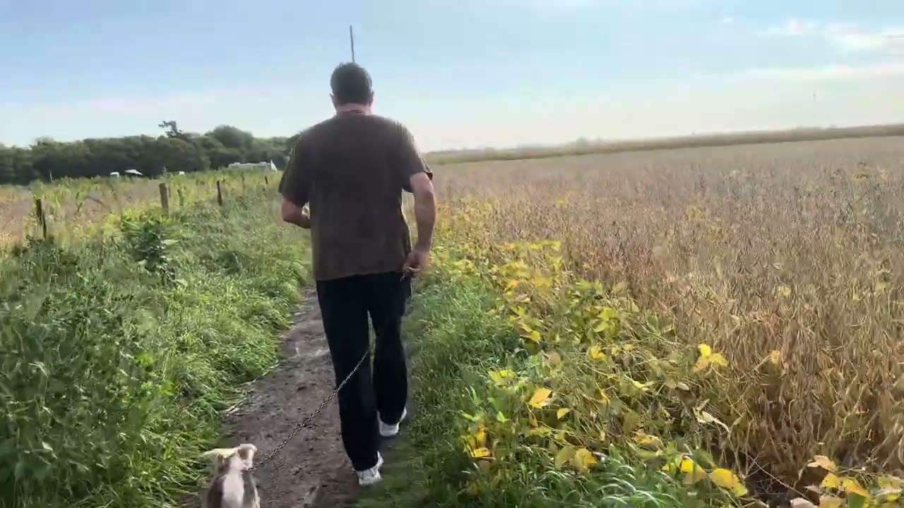 Standing Where the Music Died: Buddy Holly, Don McLean, and Rock ‘n’ Roll RV Buddy Holly Crash Site