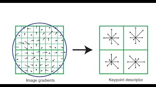 Celebrity Lecture 9 SIFT Wealth