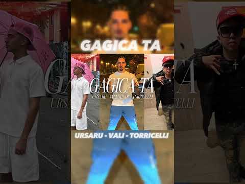 Ursarinho Vali Miron Madatorricelli Ursaru Valimiron Madatorricelli Like Viral