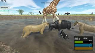 |Testing A Roblox| Extra - Extra - Failed Cape Buffalo Herd Kosers! (2/2) (Read Description Please!)