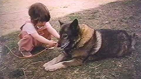 Video 4 Calming Signals