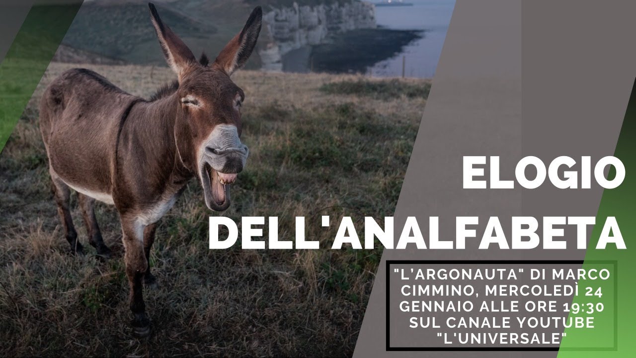 Похвала неграмотным — «Аргонавт» Марко Чиммино