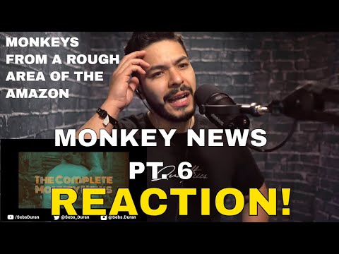 Monkey News with Karl Pilkington (Sebs Reaction!) pt 6 origins of the saying "monkey business?" - Monkey News with Karl Pilkington (Sebs Reaction!) pt 6 origins of the saying "monkey business?"